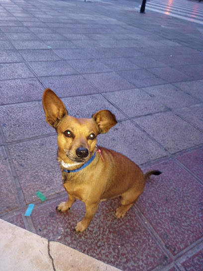 Confiteria Martinez