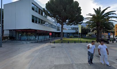 Panet - Pavé Artesans des de 1962 - Torrelavila