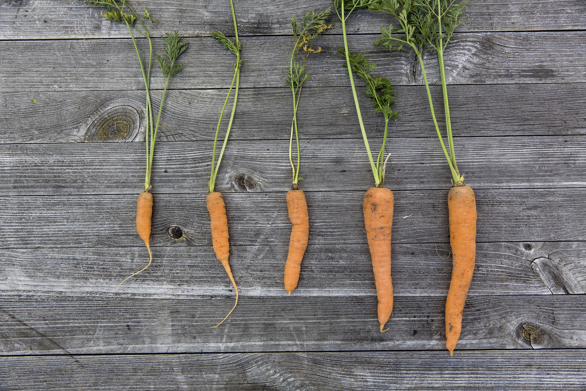 La zanahoria se ha convertido en uno de los vegetales más utilizados en repostería