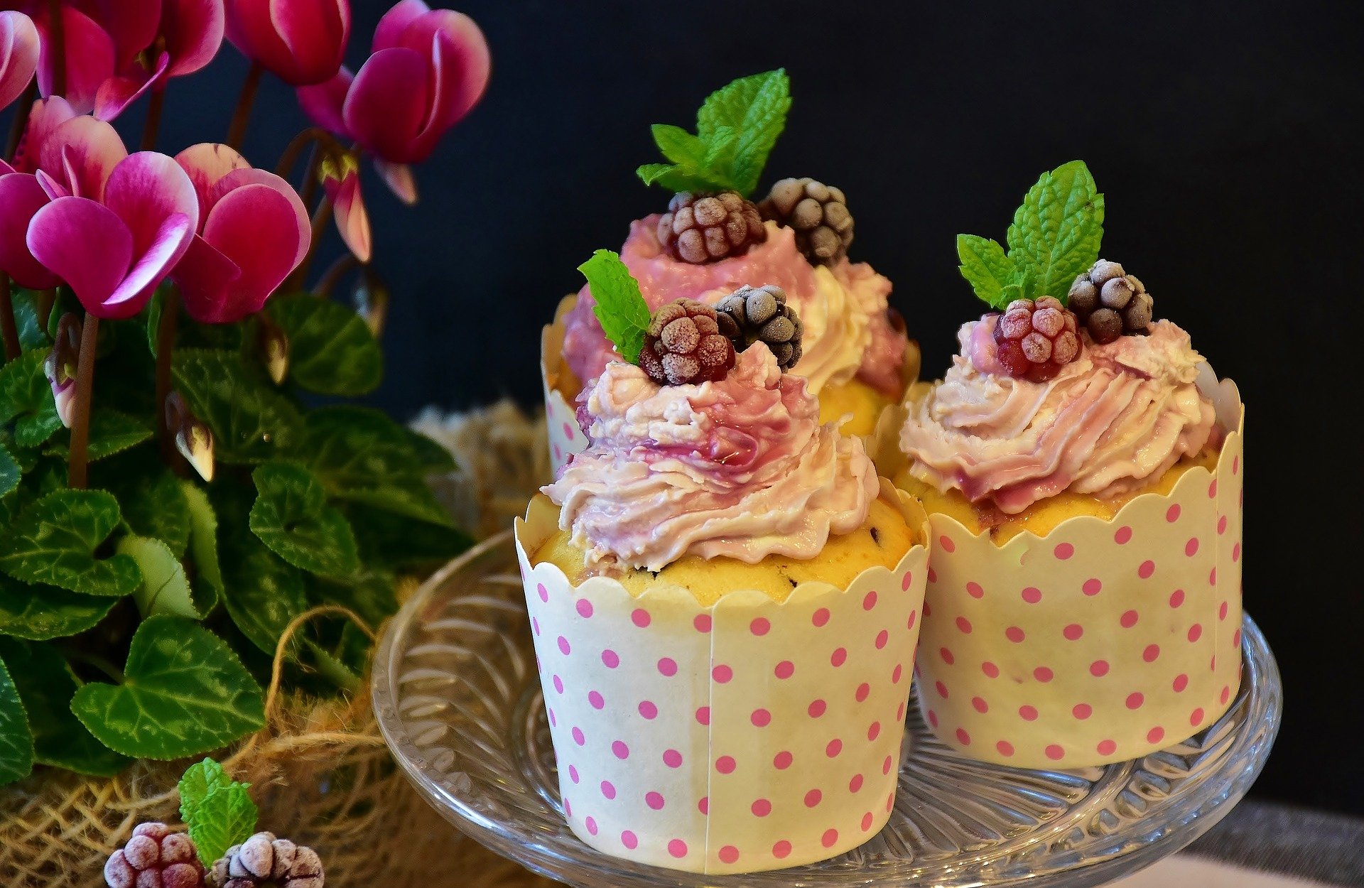 Los cupcakes son uno de los dulces más demandados y más trendy hoy en día 