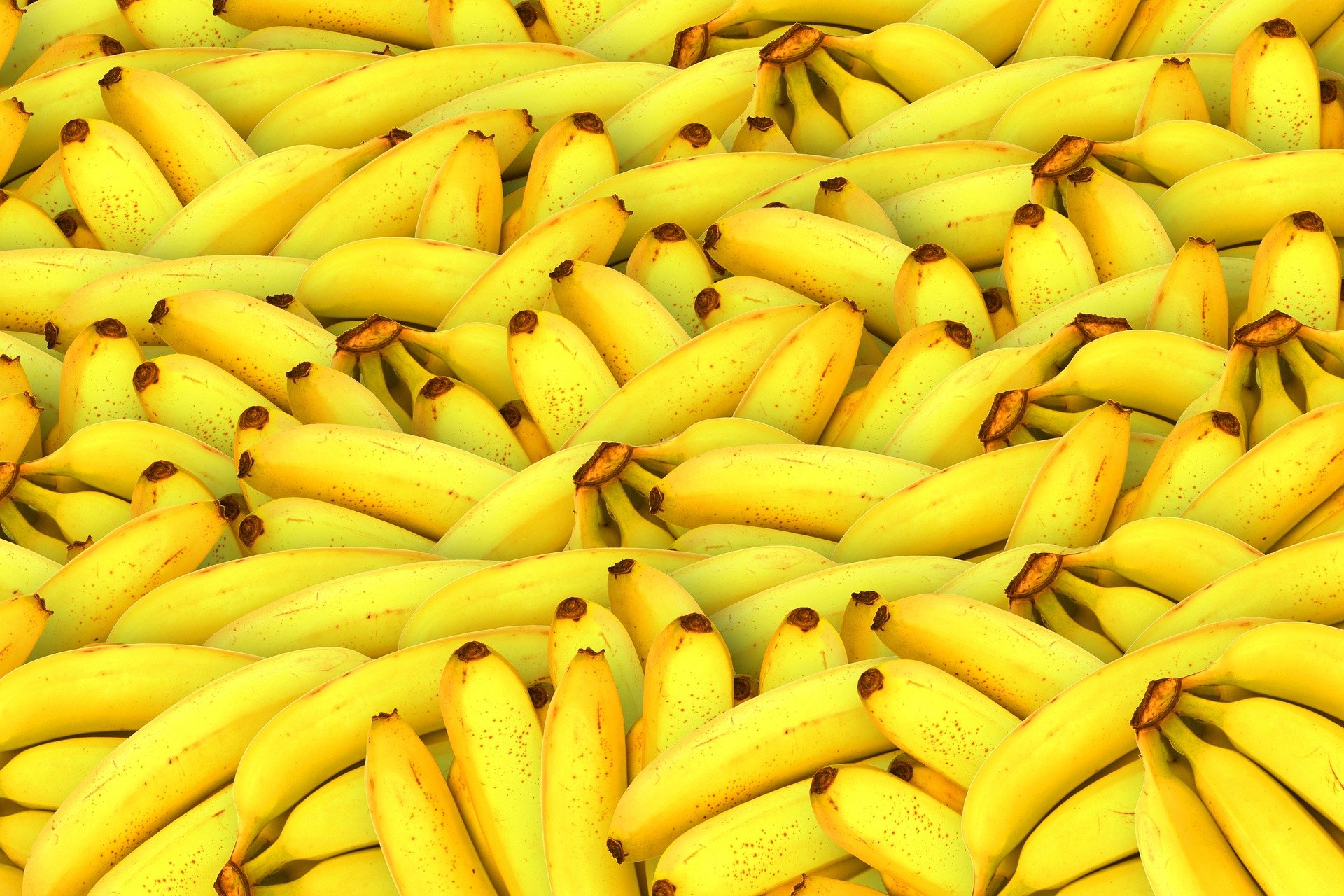 Al plátano se le conoce como fruta de la felicidad